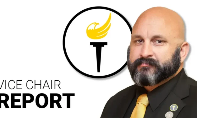 January 2026 Vice Chair Report