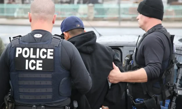 Is ICE a necessary force for good in America?